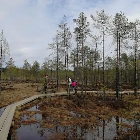 Cozy, Stylish In The Heart Of The Town Apartment